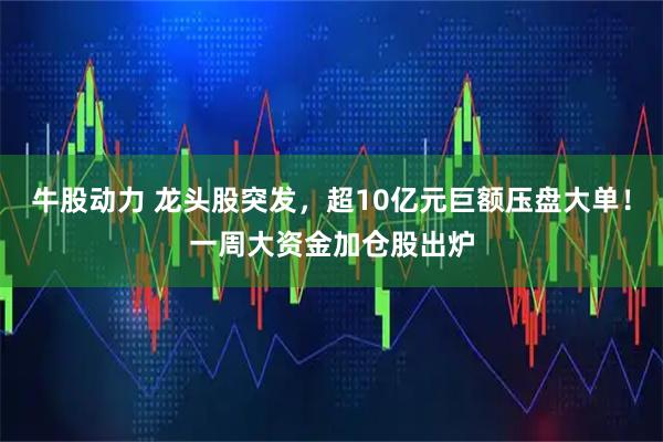 牛股动力 龙头股突发，超10亿元巨额压盘大单！一周大资金加仓股出炉