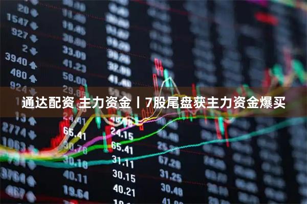 通达配资 主力资金丨7股尾盘获主力资金爆买